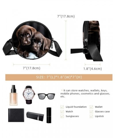 Crossbody Bags for Women,Crossbody Bag Men,Small Sling Bag,Black and Gray Puppies,Crossbody Purse $10.81 Crossbody Bags