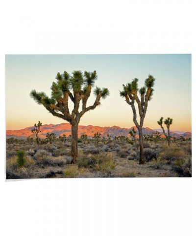 24x36 Inch Giclee Print, Joshua Tree National Park at Sunset $20.00 Totes