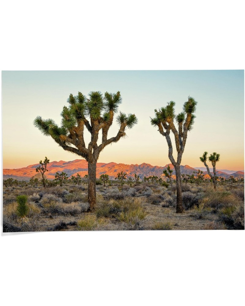 24x36 Inch Giclee Print, Joshua Tree National Park at Sunset $20.00 Totes