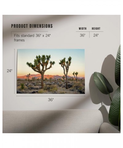 24x36 Inch Giclee Print, Joshua Tree National Park at Sunset $20.00 Totes