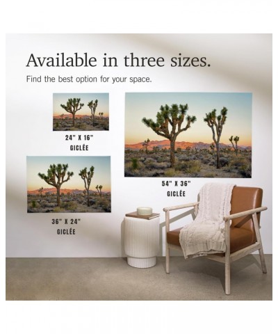 24x36 Inch Giclee Print, Joshua Tree National Park at Sunset $20.00 Totes